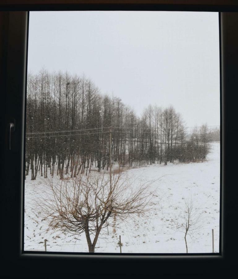 Eko Zagroda Bocianie Gniazdo Mikołajki Exteriör bild